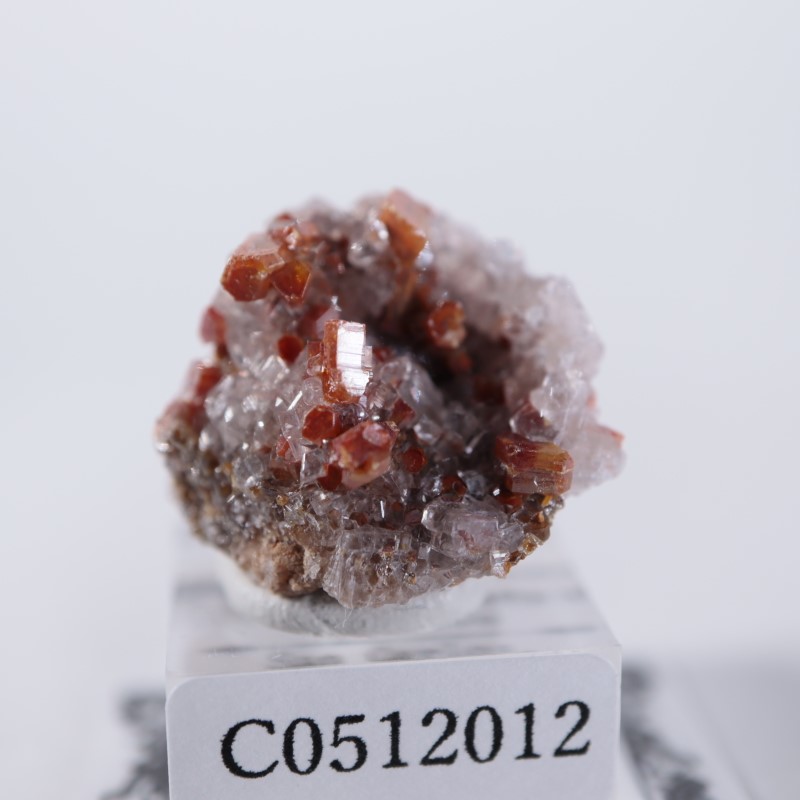 �ᥭ���������Хʥǥ��ʥ��ȡ����륵����