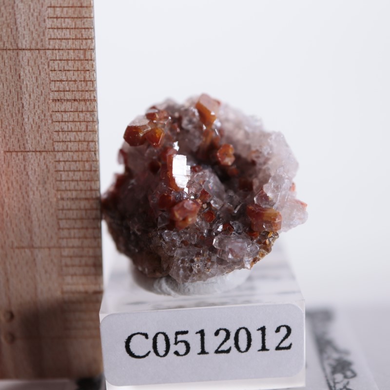 �ᥭ���������Хʥǥ��ʥ��ȡ����륵����