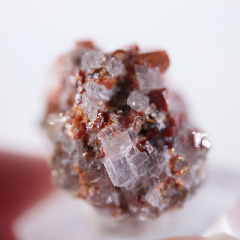 �ᥭ���������Хʥǥ��ʥ��ȡ����륵����