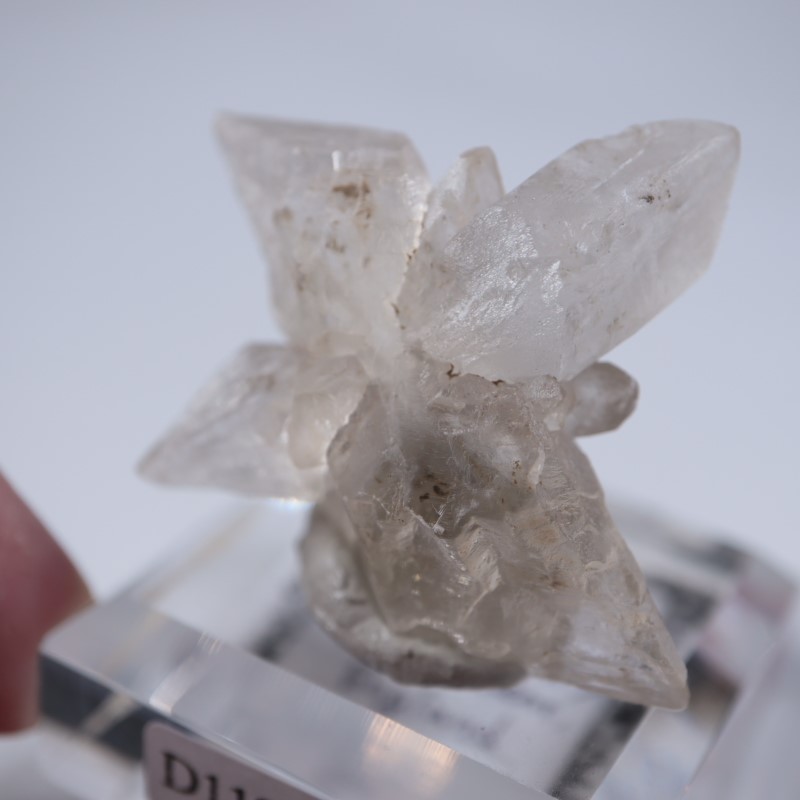 �����ꥹ�������ץ���