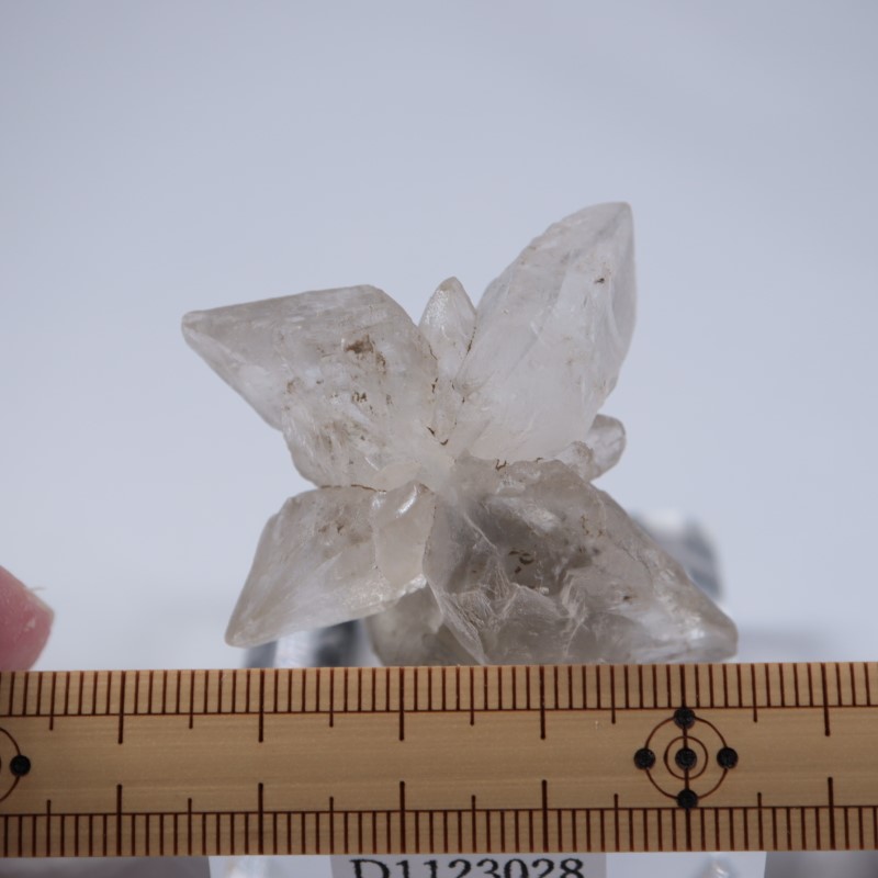 �����ꥹ�������ץ���