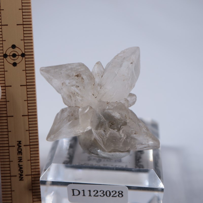 �����ꥹ�������ץ���