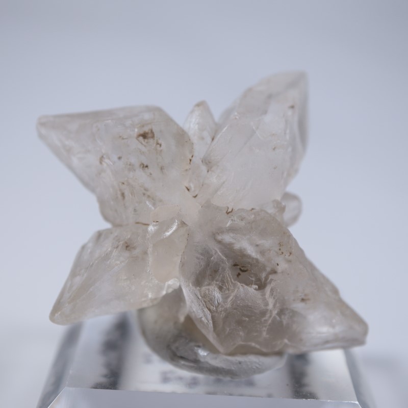 �����ꥹ�������ץ���