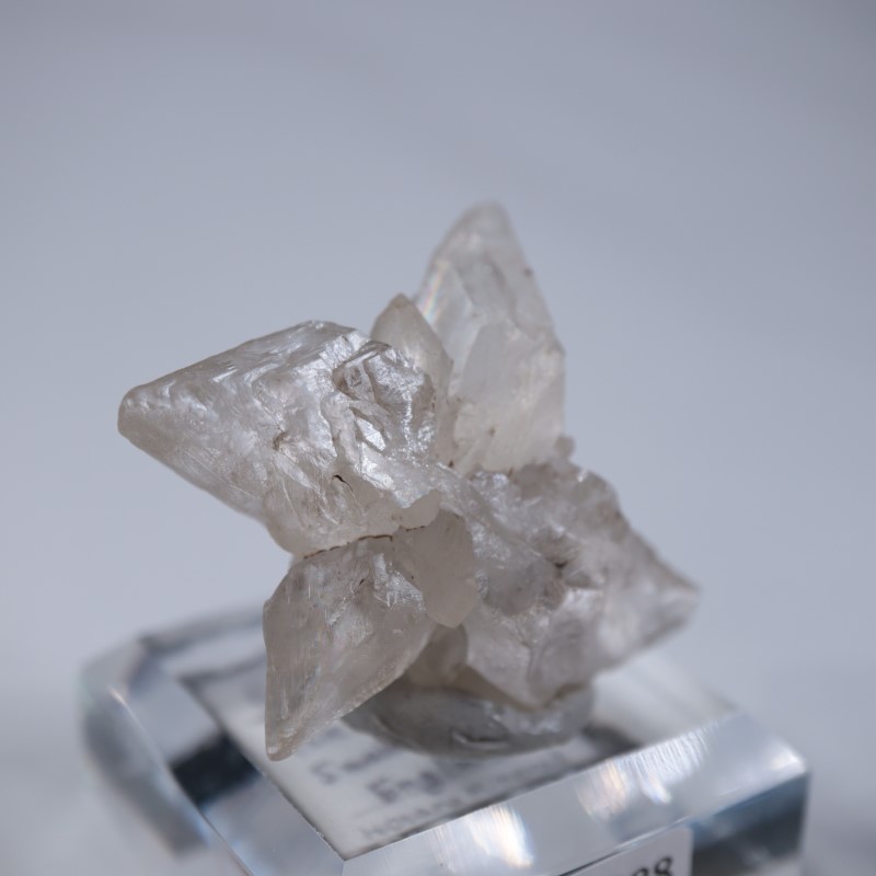 �����ꥹ�������ץ���