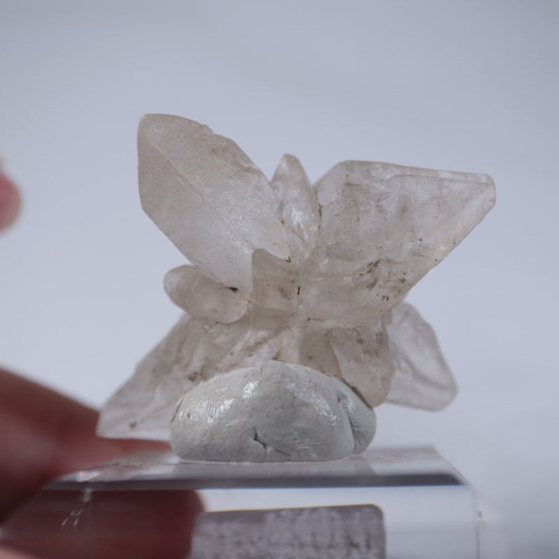 �����ꥹ�������ץ���