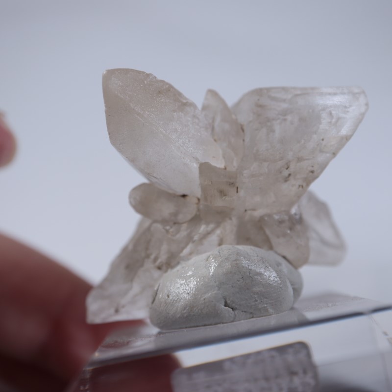 �����ꥹ�������ץ���