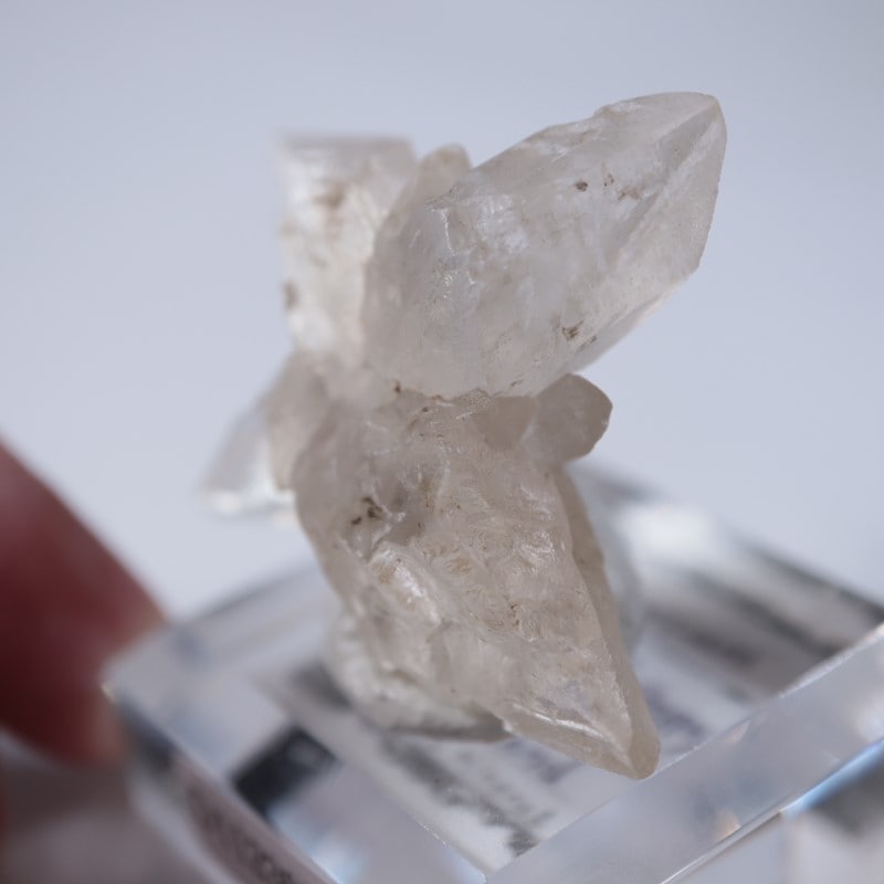 �����ꥹ�������ץ���