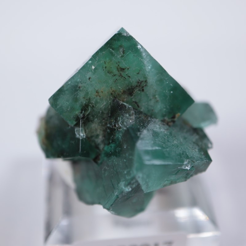 ������꡼�ۻ����ե����饤��