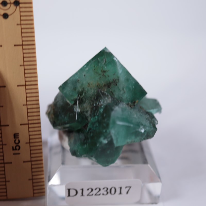 ������꡼�ۻ����ե����饤��