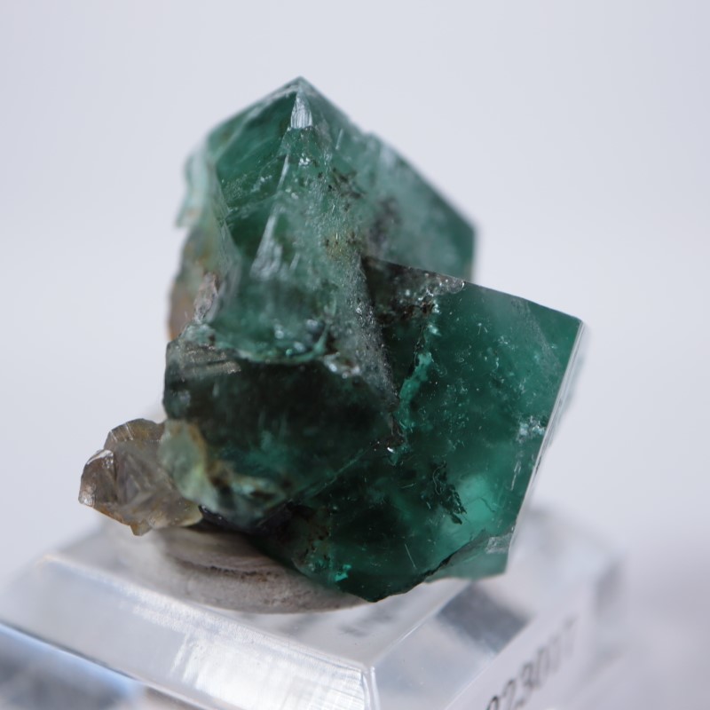 う*う様 136 UK ロジャリー鉱山 50-Year Pocket フローライ Fluorite From the 50 Year Pocket of the Rogerley Mine in Weardale