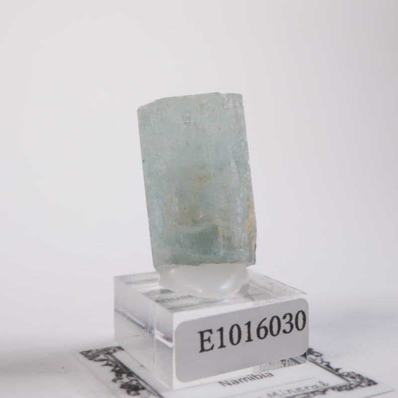 �����󥴹ۻ����������ޥ��