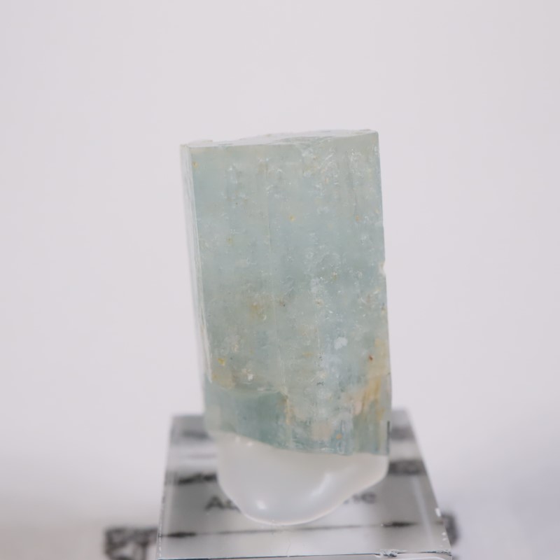 �����󥴹ۻ����������ޥ��