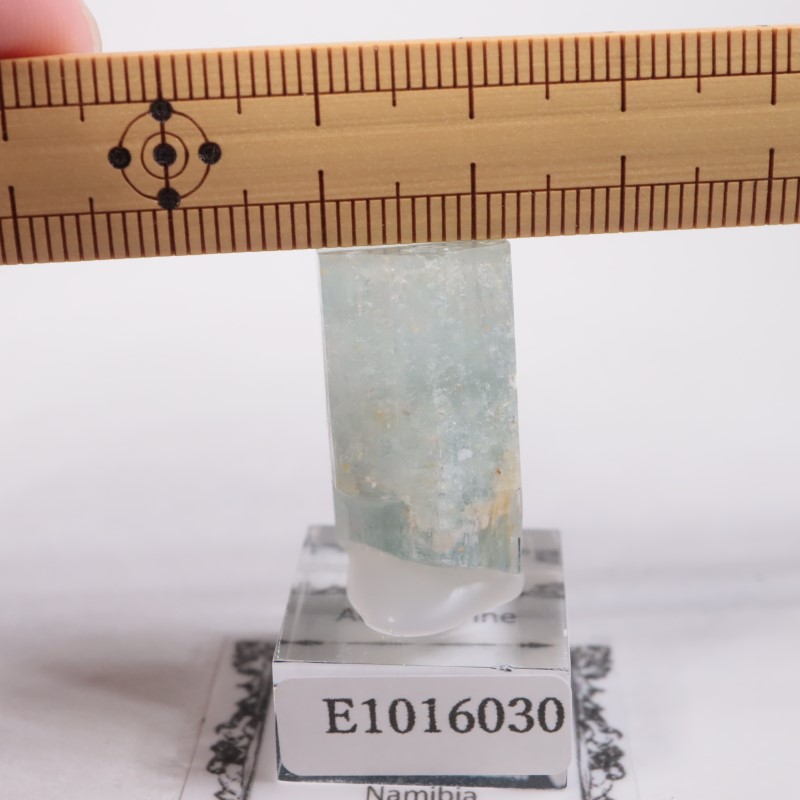 �����󥴹ۻ����������ޥ��