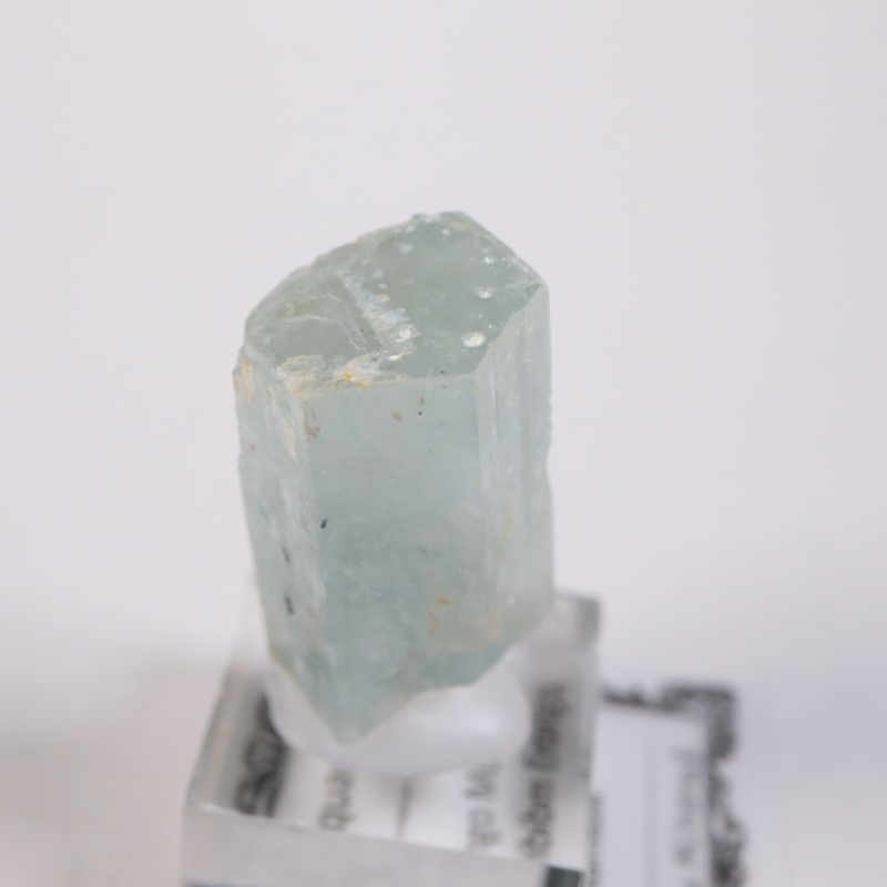 �����󥴹ۻ����������ޥ��