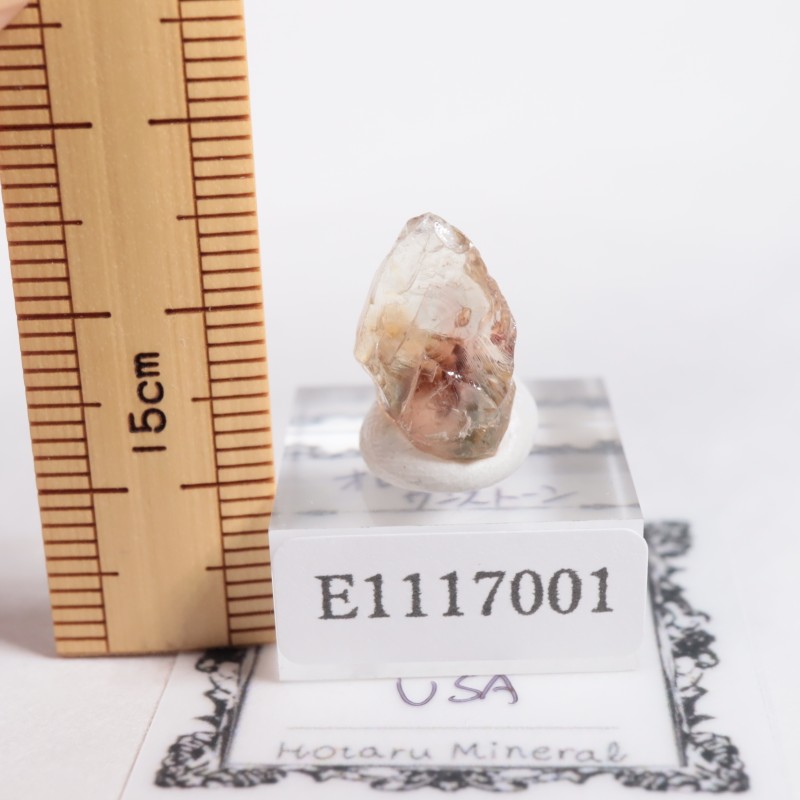 ���쥴�󽣻� ���쥴�󥵥󥹥ȡ���