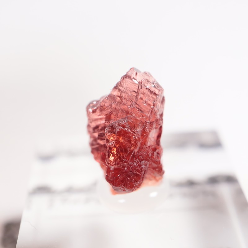 �֥饸�뻺 ���ڥ���ƥ��󥬡��ͥå�