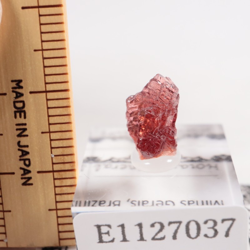 �֥饸�뻺 ���ڥ���ƥ��󥬡��ͥå�