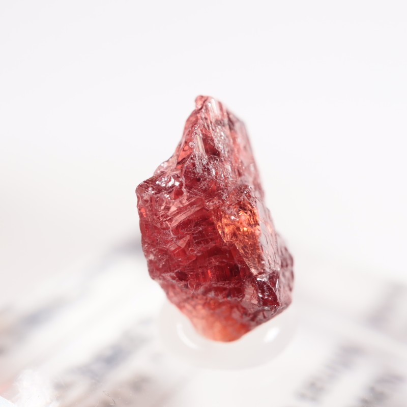 �֥饸�뻺 ���ڥ���ƥ��󥬡��ͥå�