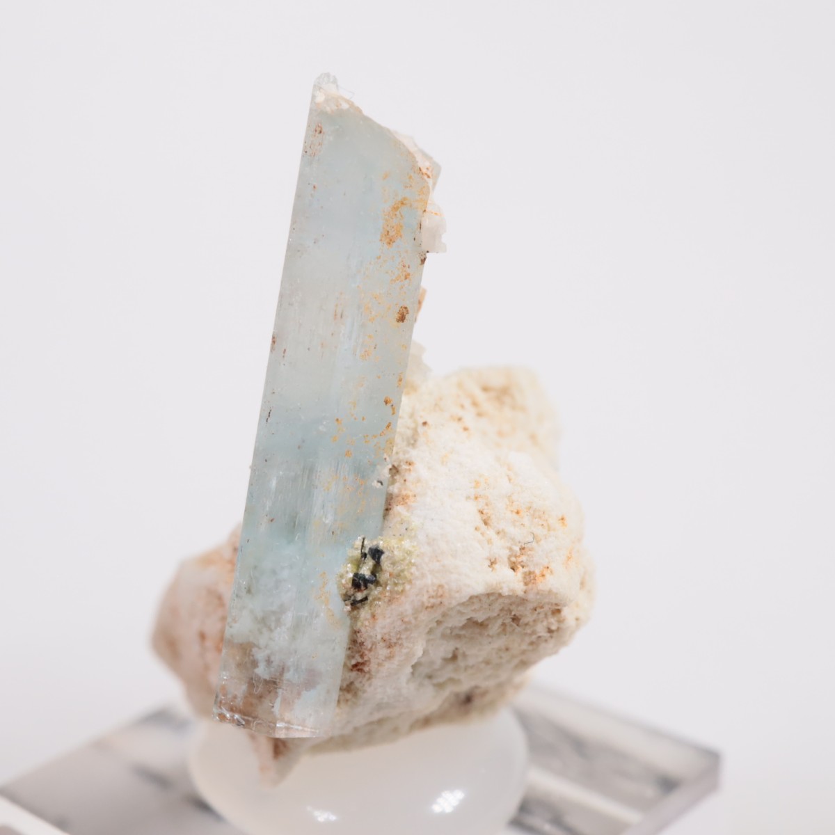 �����󥴹ۻ��� �������ޥ��