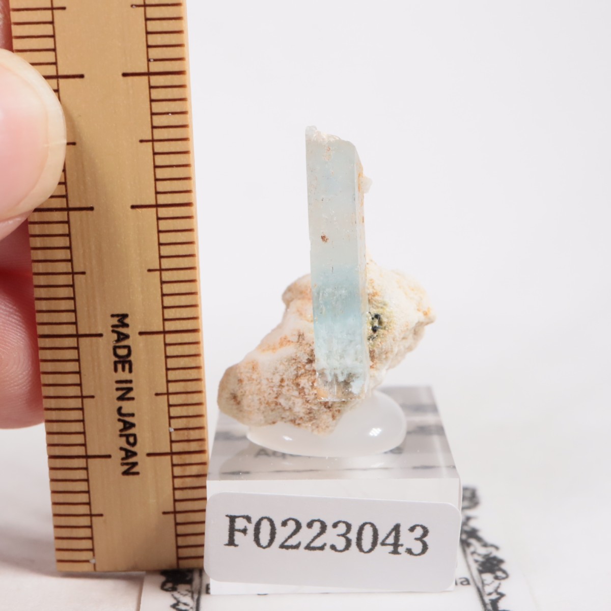 �����󥴹ۻ��� �������ޥ��