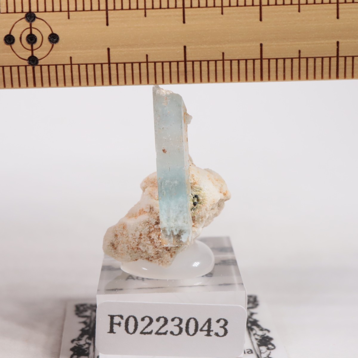 �����󥴹ۻ��� �������ޥ��