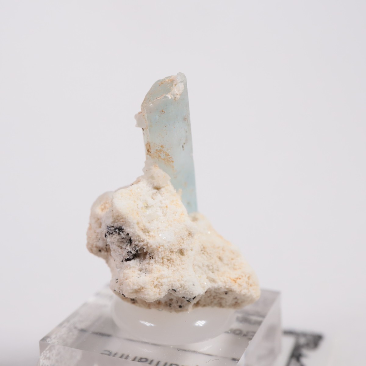 �����󥴹ۻ��� �������ޥ��