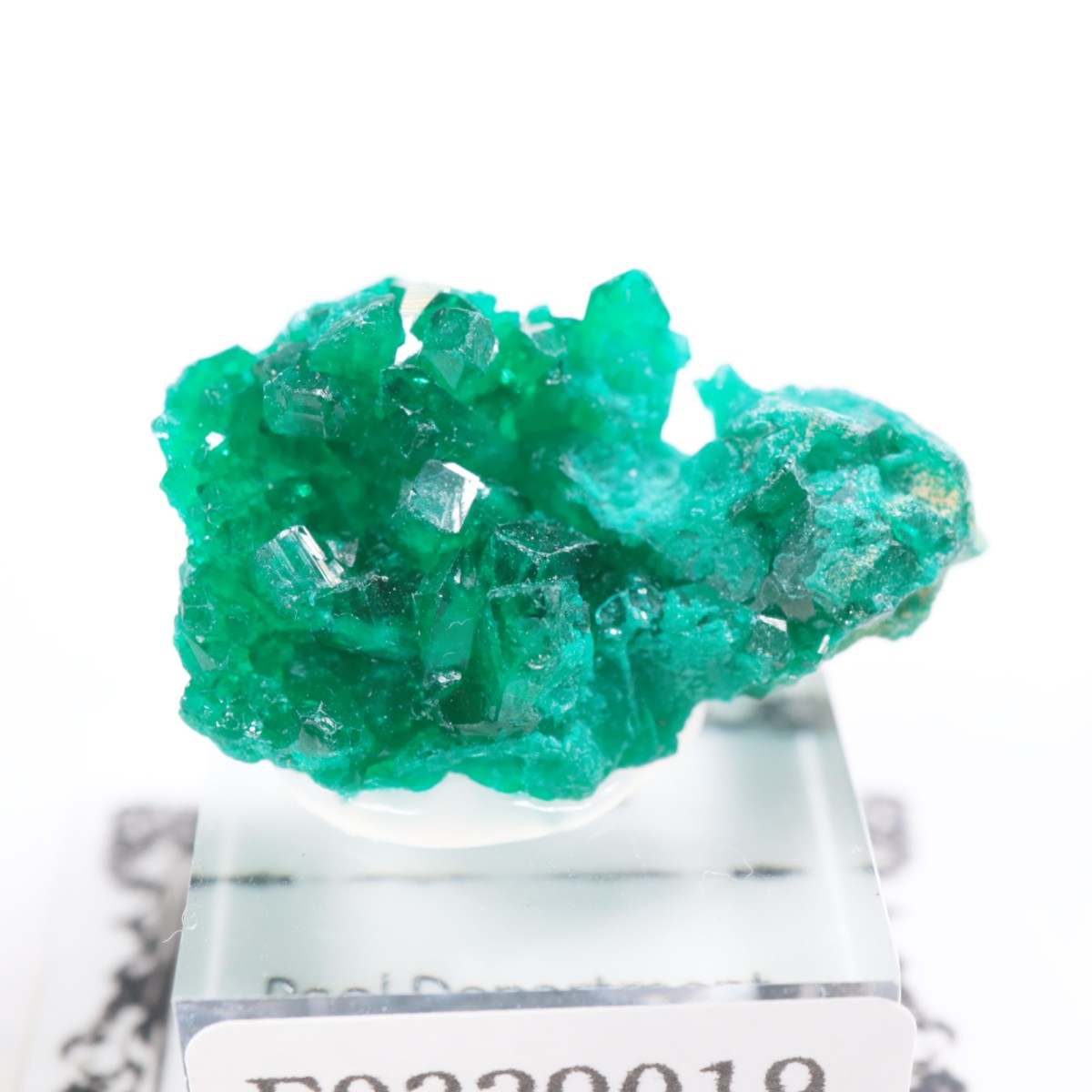 ���󥴻� �������ץơ���