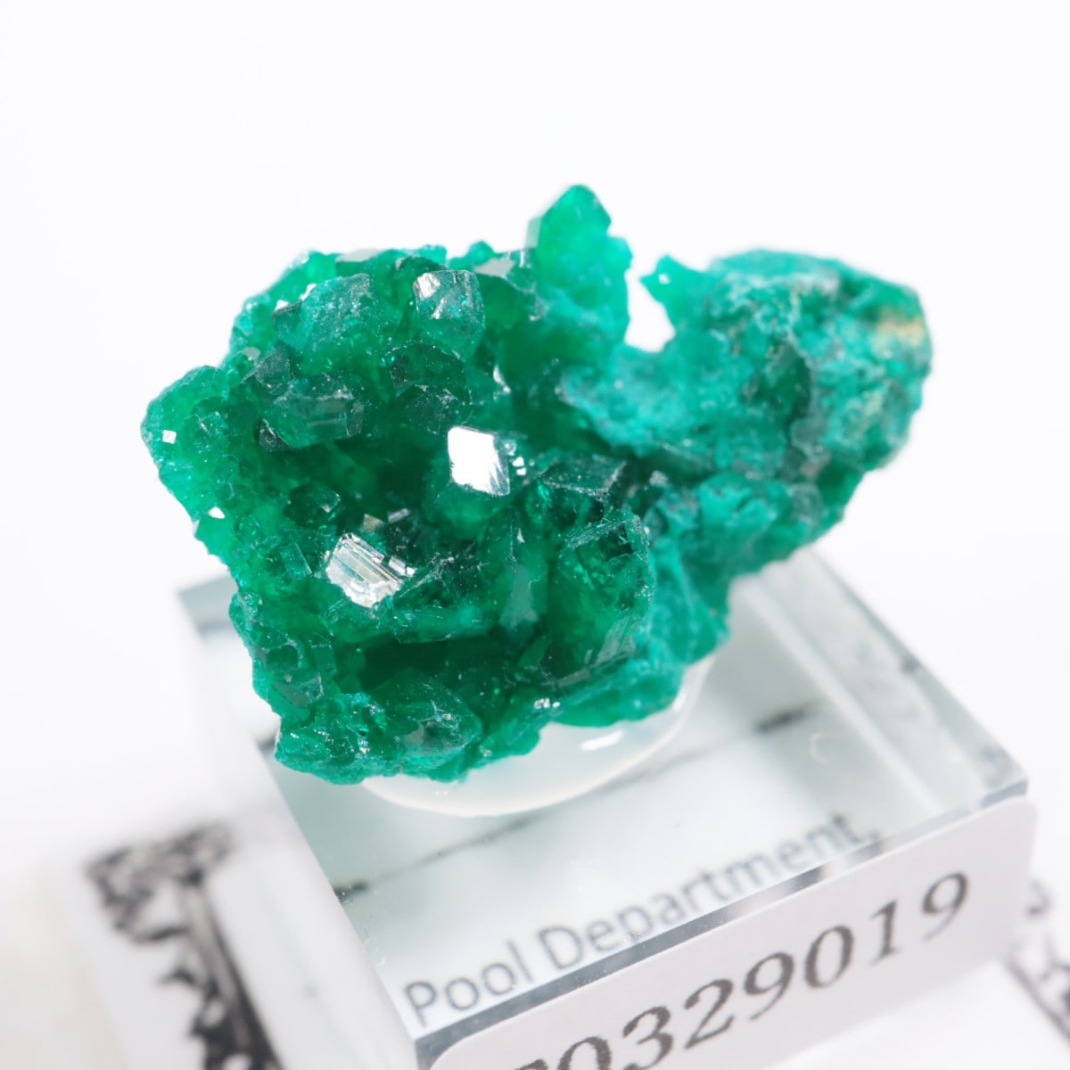 ���󥴻� �������ץơ���