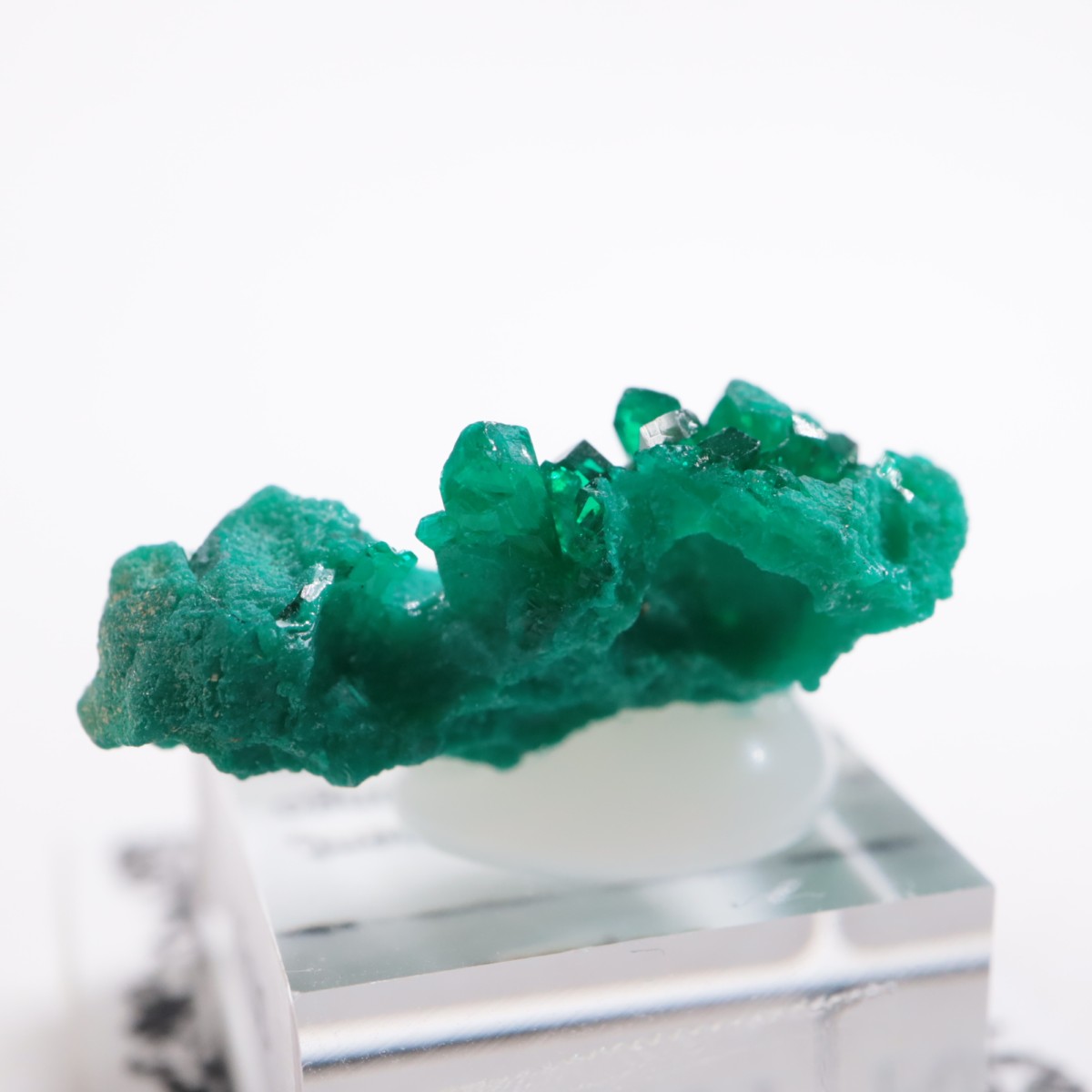 ���󥴻� �������ץơ���