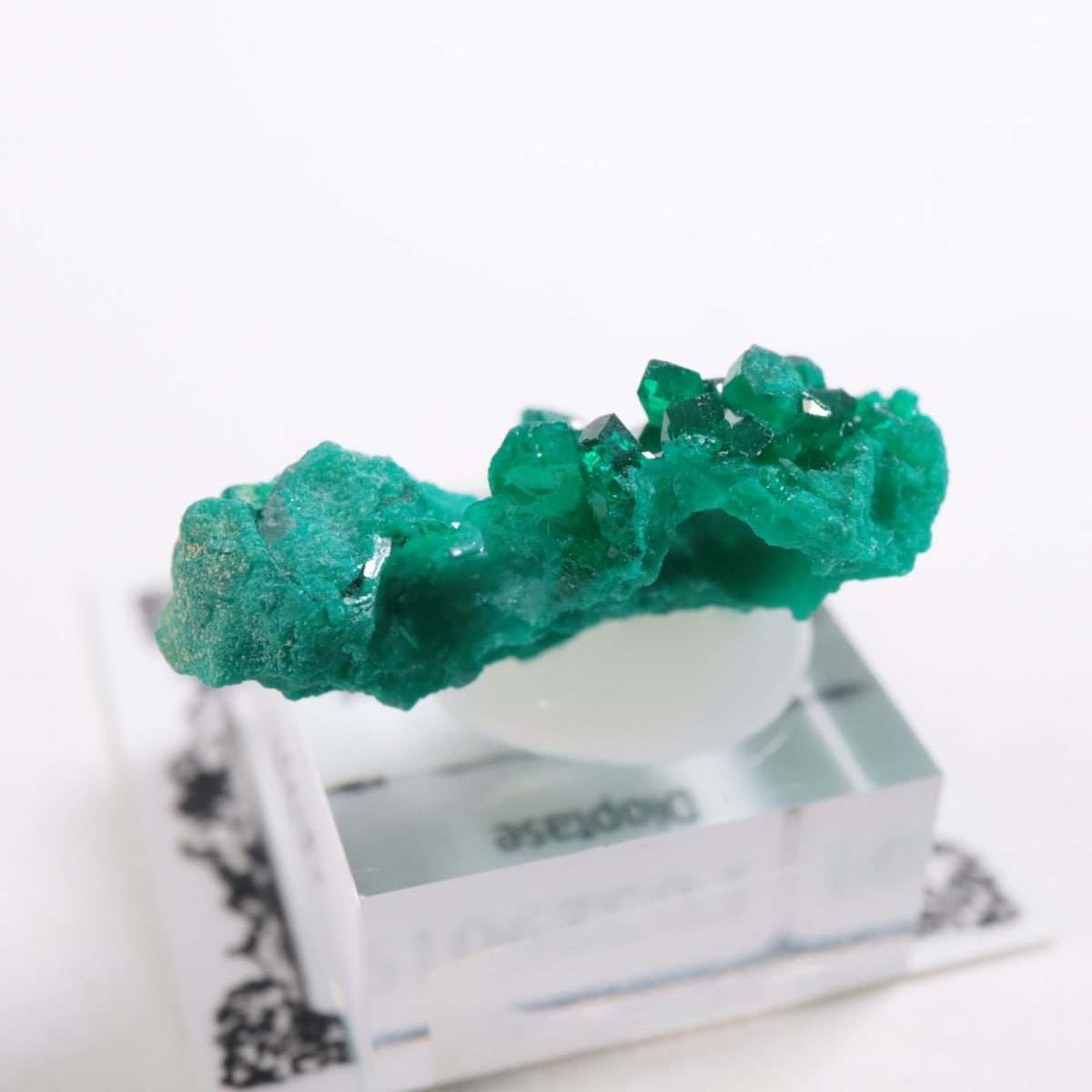 ���󥴻� �������ץơ���