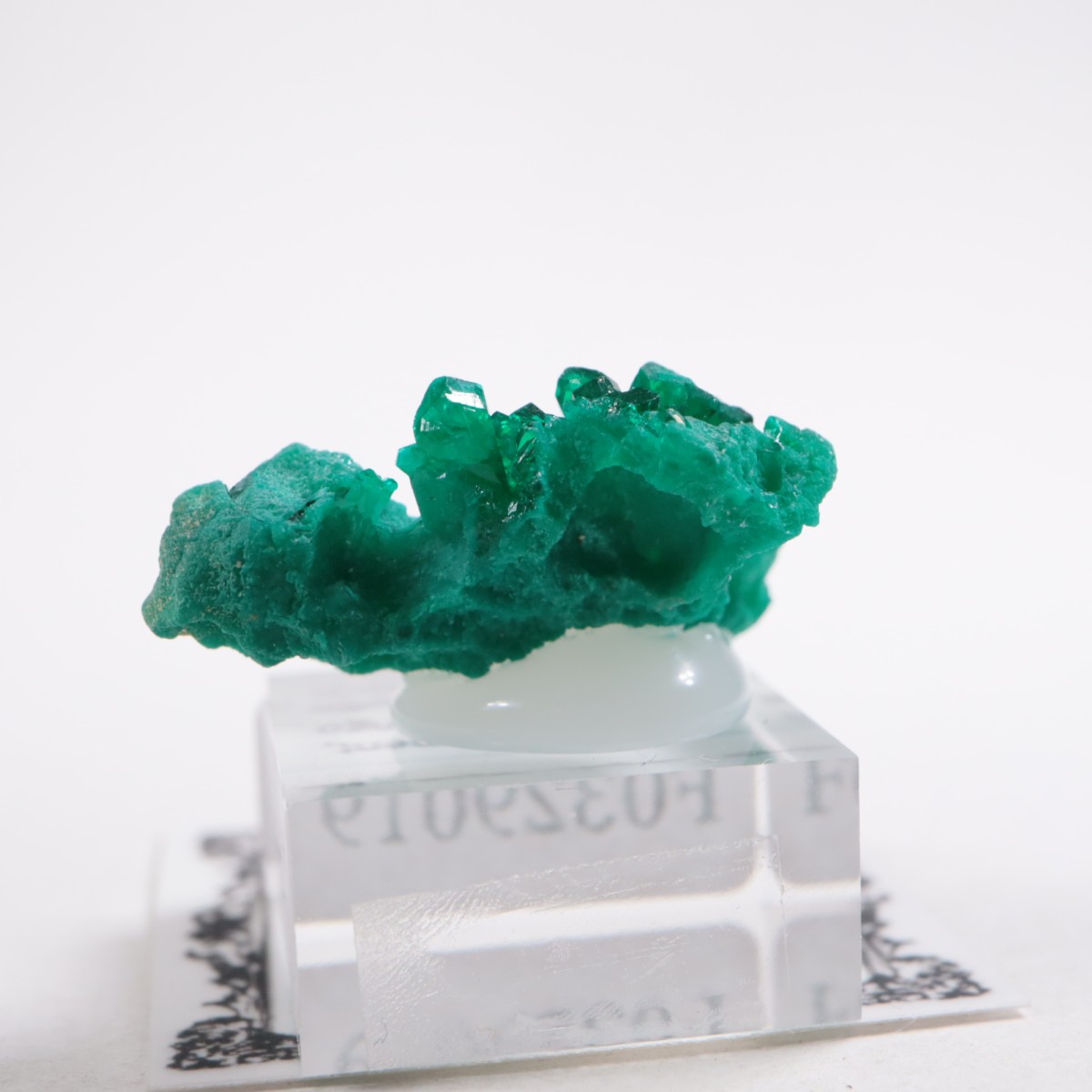 ���󥴻� �������ץơ���