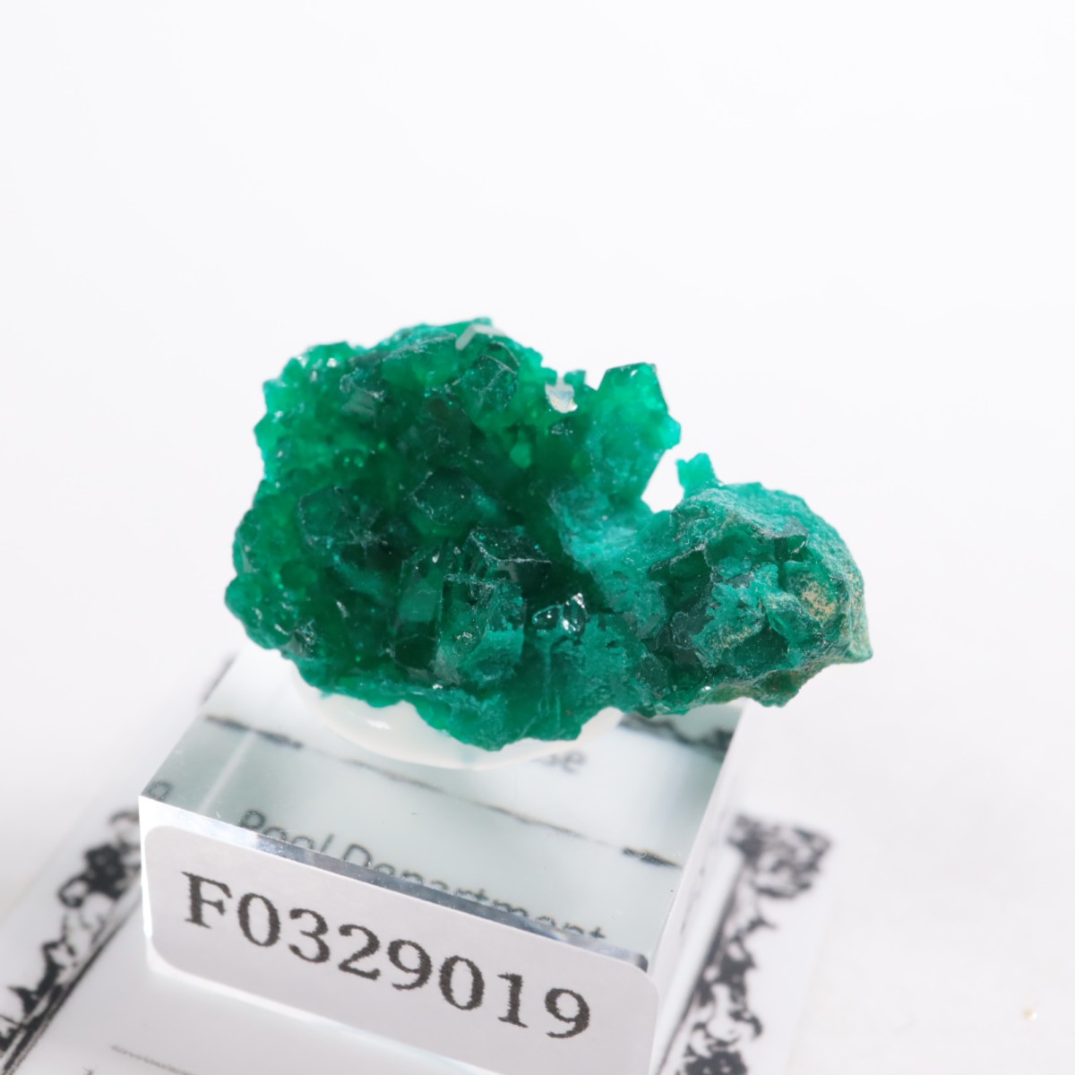 ���󥴻� �������ץơ���