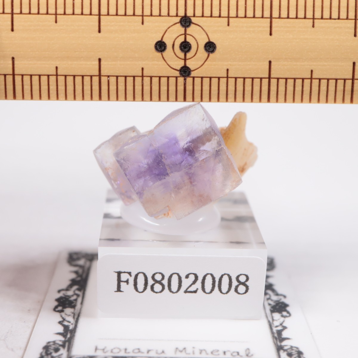 ���ڥ��� �ե����饤��