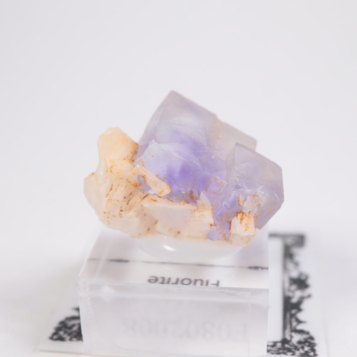 ���ڥ��� �ե����饤��