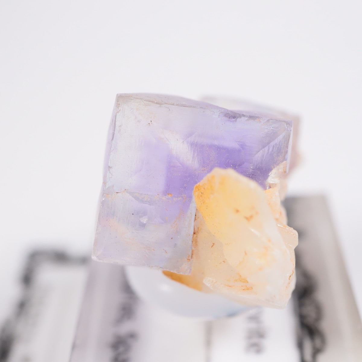 ���ڥ��� �ե����饤��