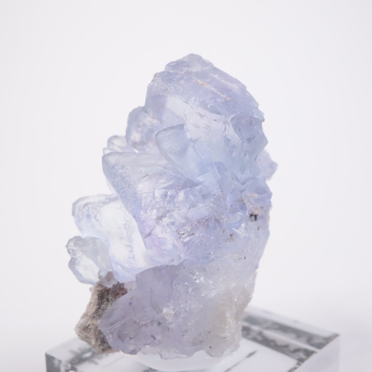 La Viesca�ۻ� �ե����饤��