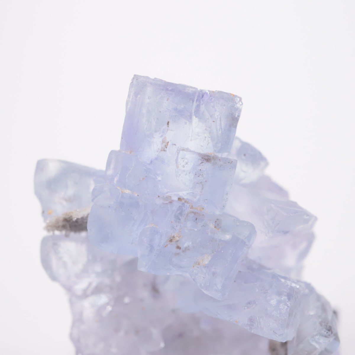 La Viesca�ۻ� �ե����饤��