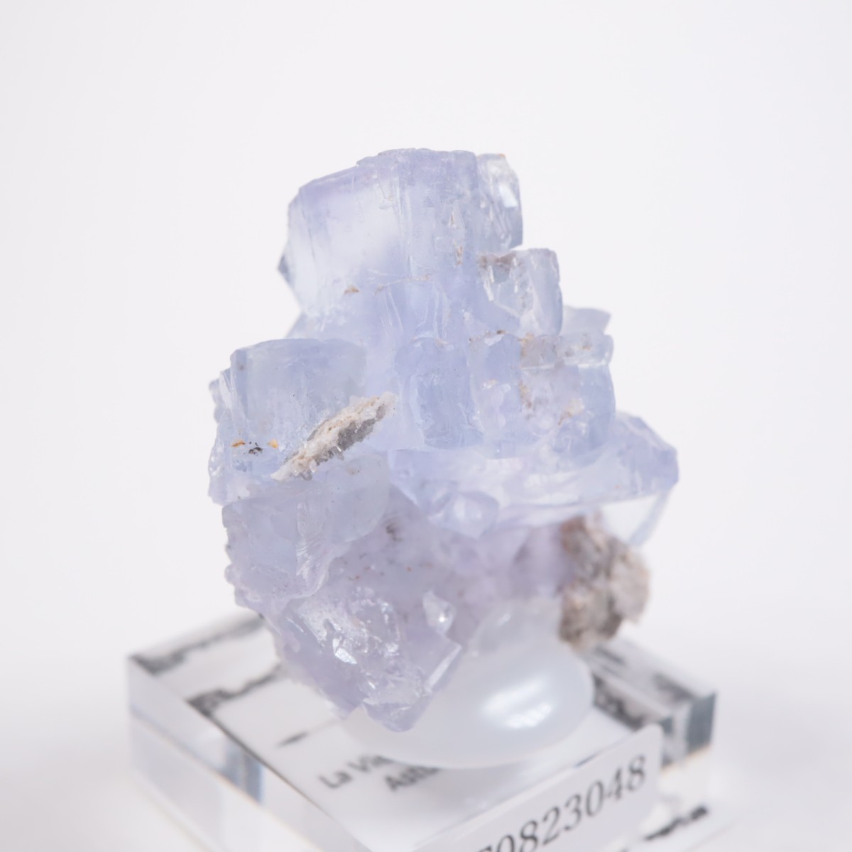 La Viesca�ۻ� �ե����饤��