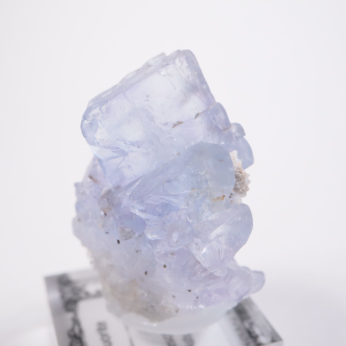 La Viesca�ۻ� �ե����饤��