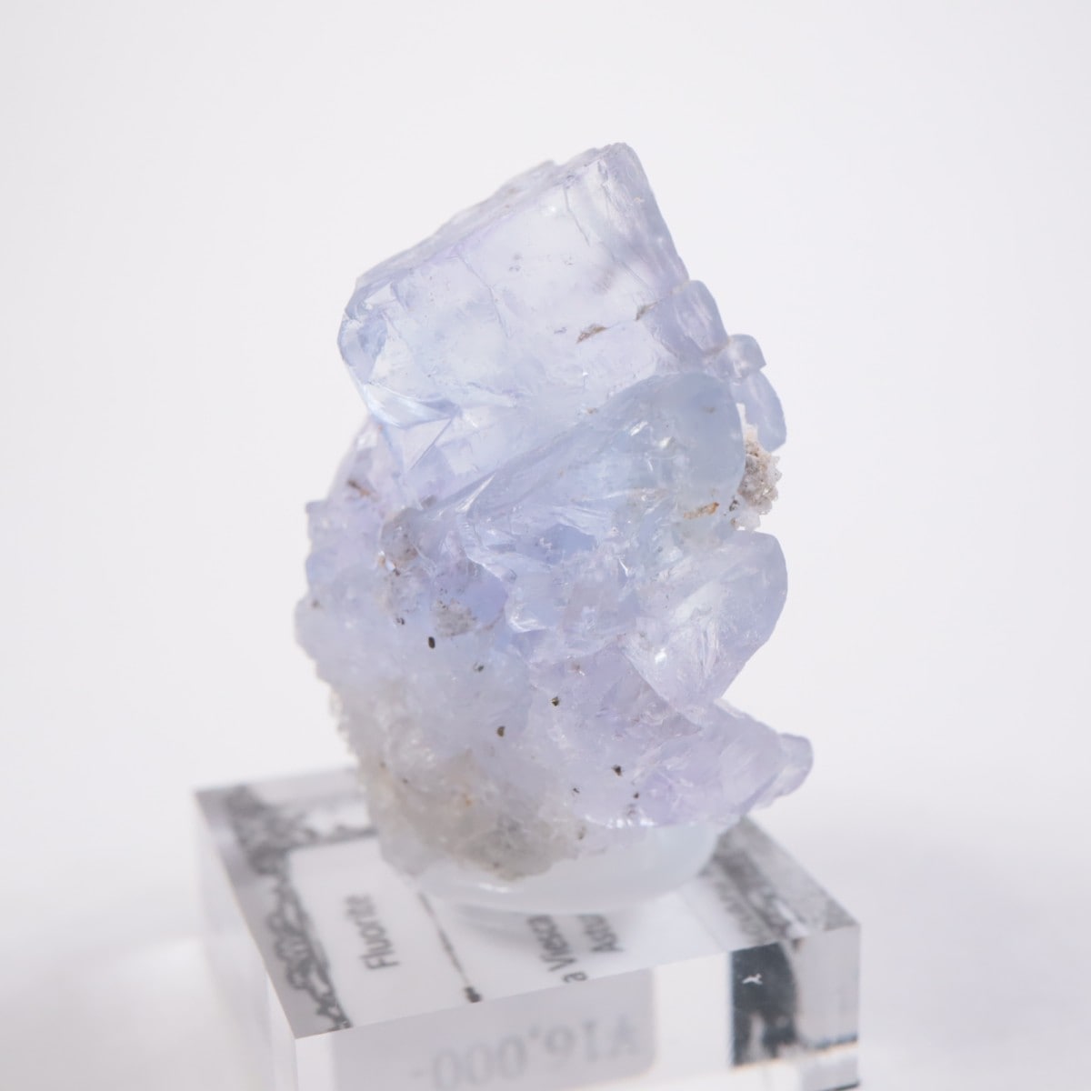 La Viesca�ۻ� �ե����饤��