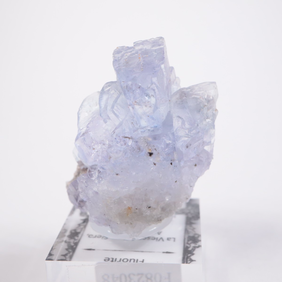 La Viesca�ۻ� �ե����饤��