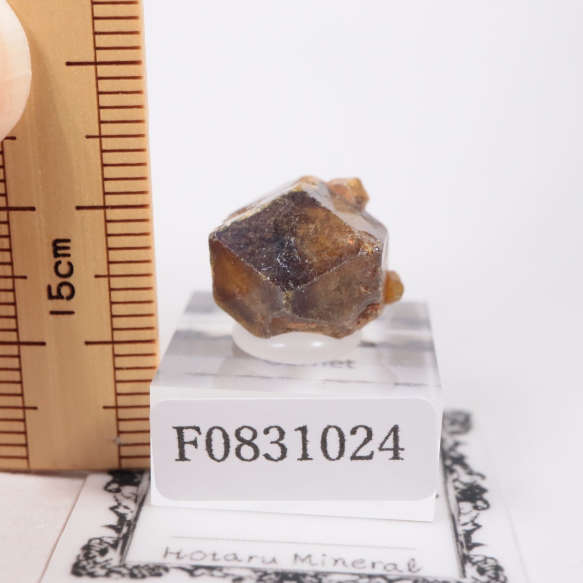 �ޥ껺 �����ͥå�