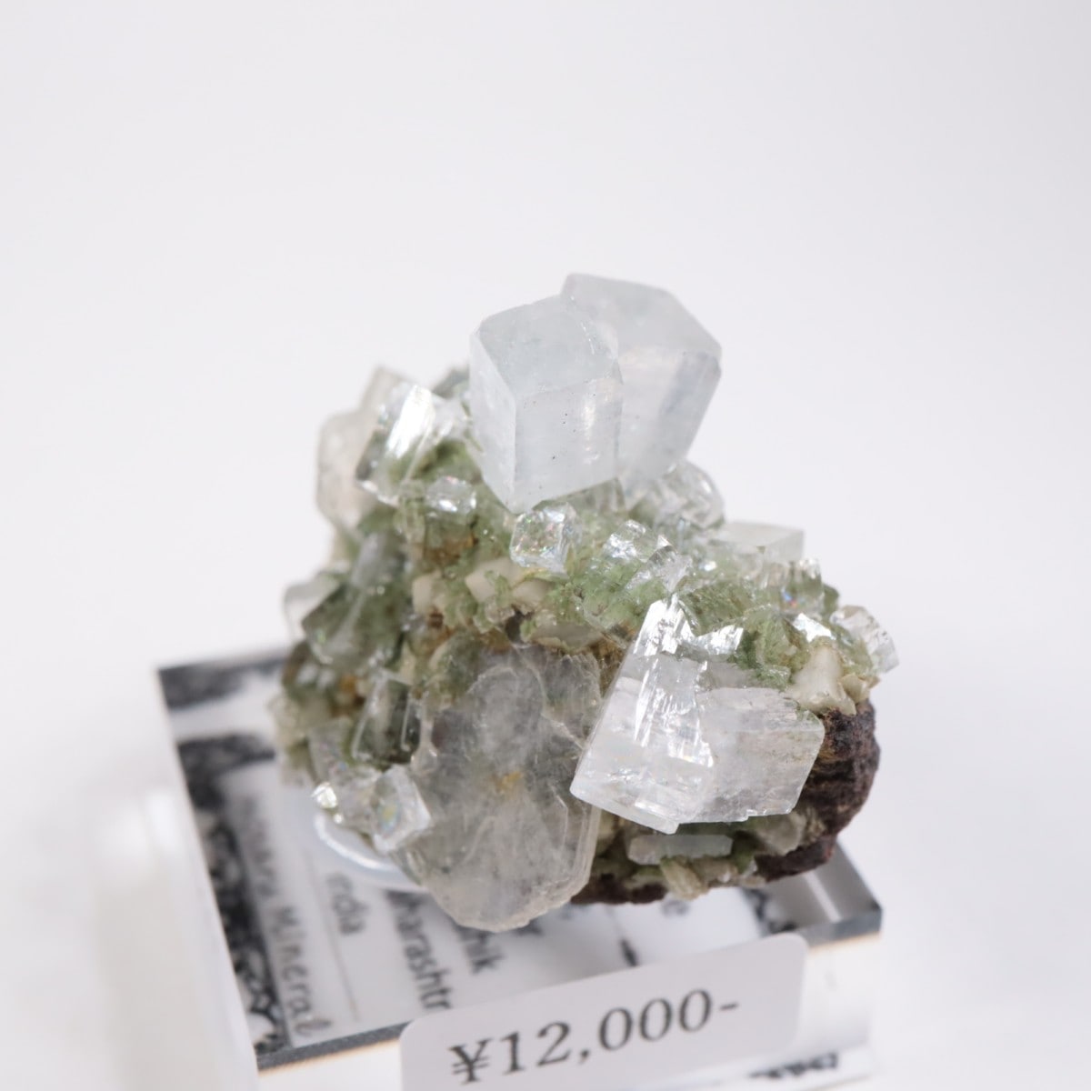 ����ɻ� ���ݥե��饤��