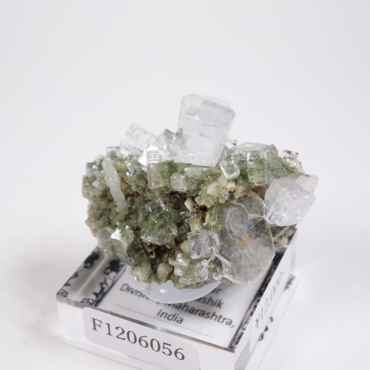 ����ɻ� ���ݥե��饤��