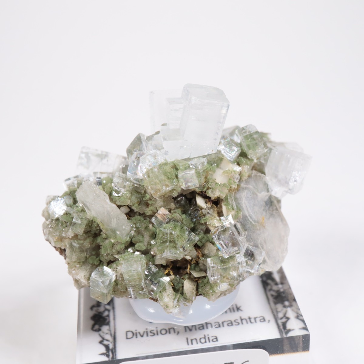 ����ɻ� ���ݥե��饤��