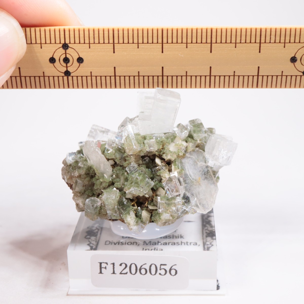 ����ɻ� ���ݥե��饤��