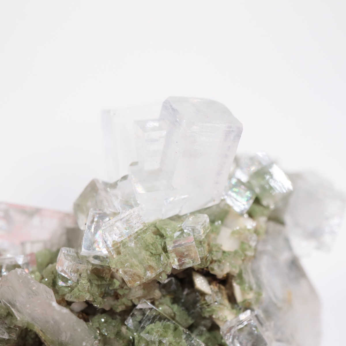 ����ɻ� ���ݥե��饤��