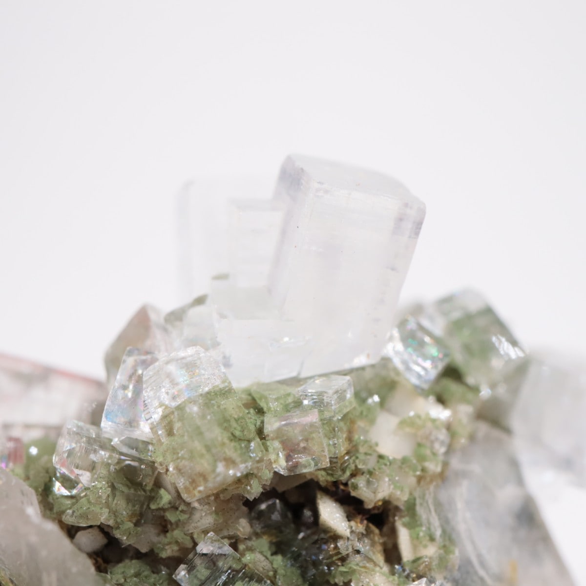 ����ɻ� ���ݥե��饤��