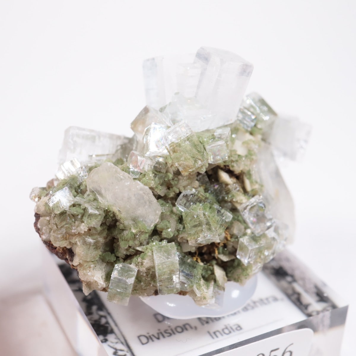 ����ɻ� ���ݥե��饤��