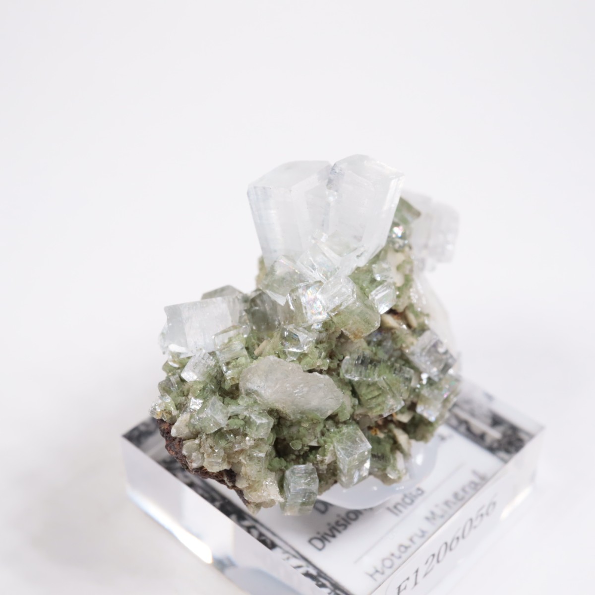 ����ɻ� ���ݥե��饤��